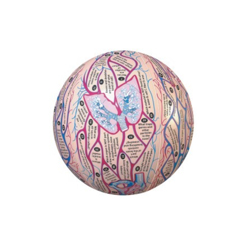 800anatomyballs Penn Care, Inc.