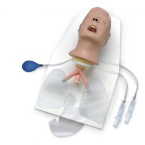 Airway-Larry-Trainer-Head-with-Stand Airway Larry Trainer Head with Stand