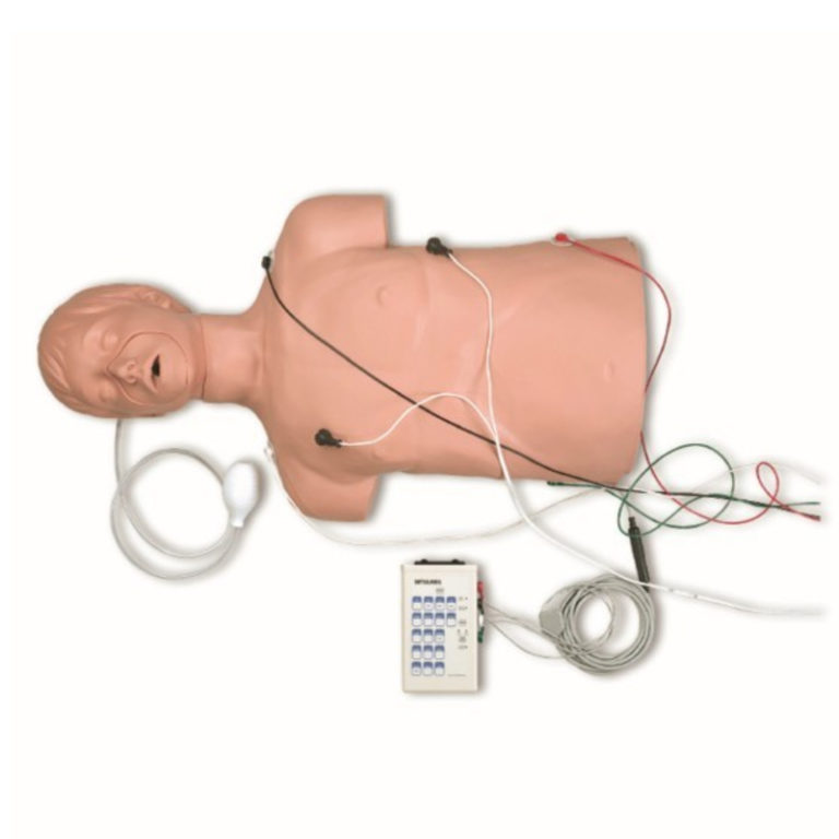 Manikin, Simulaids Defib/CPR Training Penn Care, Inc.