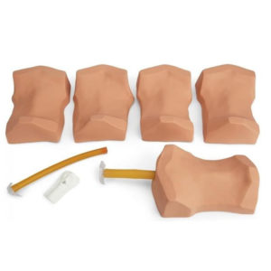 Manikin, Simulaids Cricothyrotomy Simulator Deluxe, with Carry Bag