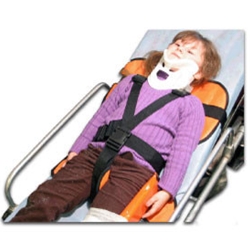 Child Restraint, Pediatric Seat