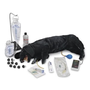 Manikin, Nasco Life/form, Sanitary CPR Dog,