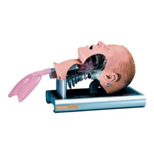 Manikin, Ambu Airway Management Trainer (head only)