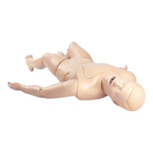 Manikin, Laerdal, Crash Kelly,