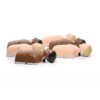 Manikin, Laerdal, Little Anne,