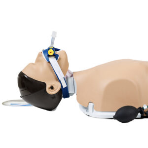 Manikin, Laerdal Advanced Airway Solution