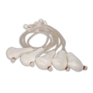 Manikin, Penny Pediatric Tibia, Manikin, Penny Pediatric Tibia,