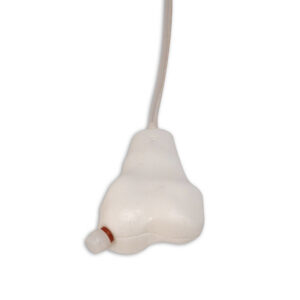 Manikin, Penny Pediatric Femur,