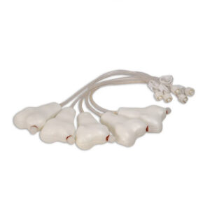 Manikin, Penny Pediatric Femur, Manikin, Penny Pediatric Femur,