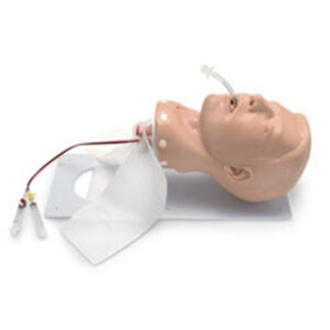 Manikin, Nasco, Deluxe Airway Management Trainer,
